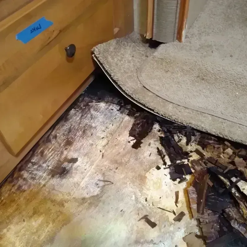 Best Wood Floor Water Damage Service in Atlantic Beach, FL